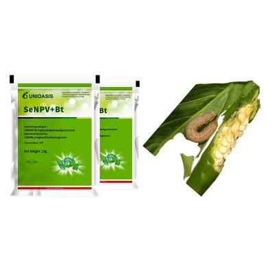 China Organic Vegetable Beet Army Worm Control Pesticide Powder Agriculture Pesticide Cabbage Wroms SeNPV BT for sale