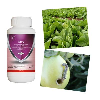 Chine OEM SeNPV Insecticides biologiques végétaux verts Insecticide pour jardin à vendre