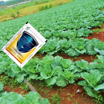 China Natural Organic Insect Viral Pesticide PrGV &Bt WP for Vegetable Pieris Rapae Granulosis Virus NPV Biopesticide for sale