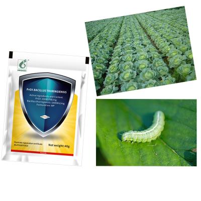 Chine Agriculture naturelle Pesticide poudre humidifiable Insecticides biologiques PrGV Bacillus Thuringiensis Effet sur le ver du chou à vendre