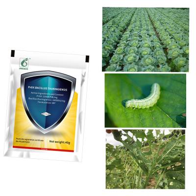 China PrGV Bacillus Thuringiensis Natuurlijke insectenspray Organisch insecticide voor aubergines Vochtbaar poeder Te koop