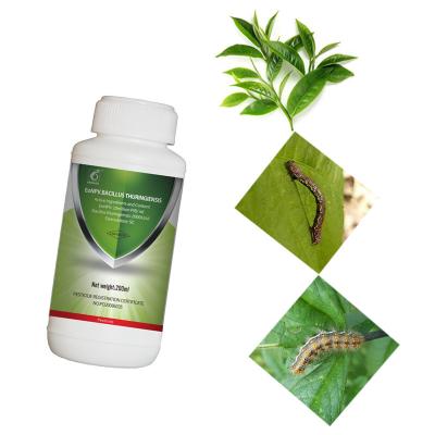 China Tea Plant EoNPV Ectropis Obliqua Insecticide with bacillus thuringiensis Bt Spray Plants for sale