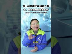 How to use bacillus and baculovirus insect virus to kill insects and pests