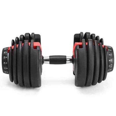 China Home Use 24kg Adjustable Dumbbells GYM Exercise Equipment Weight Home Fitness for sale