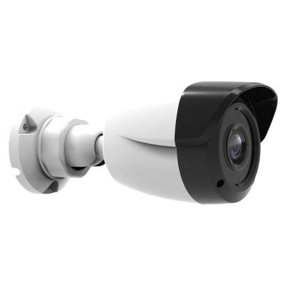 China Waterproof / Waterproof Mini Dual-light Bullet Security Camera CCTV Systems for sale