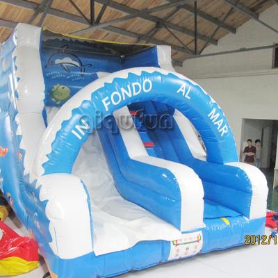 China Fun Water World Theme Dolphin Inflatable Water Slide For Kids for sale