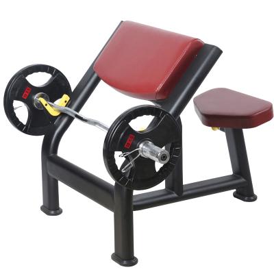 China Modern Commercial Professional Gym Equipment Plate Loaded Preacher Loop Bench for sale