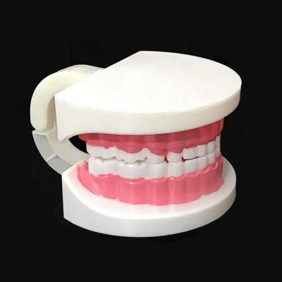 China Medical School Teaching Dental Oral Model Medical Teaching Model Tooth Brushing Teaching Mode For Children for sale