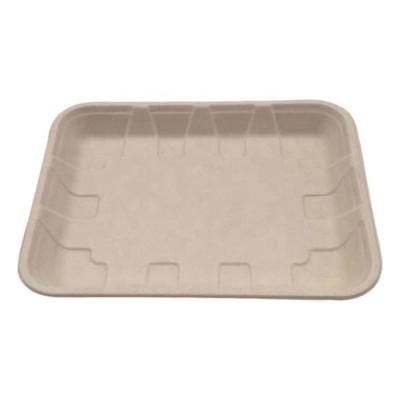 China 100% Compostable Biodegradable Sugarcane Bagasse Fruit Food Trays Lunch Trays Tableware Meat Packaging Store for sale