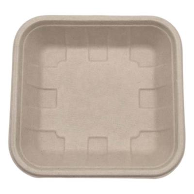 China Eco-Friendly Biodegradable Disposable Tableware Tray Eco-Friendly Biodegradable Bagasse Fiber Bagasse Sugarcane Food Packaging Trays for sale