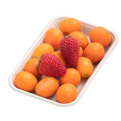 China Organic Biodegradable Fruit Tray Blueberry Punnets 100% Sugar Cane Mushroom Baggass Fruit Disposable Packaging Biodegradable Basket for sale