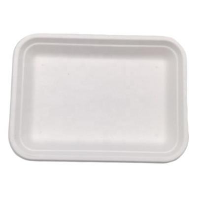 China Disposable Tray Disposable Biodegradable Biodegradable Biodegradable Fast Food Packaging Bagasse Sugarcane Fruit Tray for sale