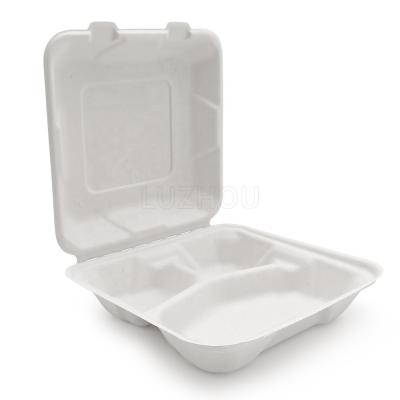 China water repellent & 800ml Bagasse Oil-Repellent Disposable Sugarcane Eco Compostable Clamshell Hinged Food Container Boxes Lunch Boxes Customized for sale