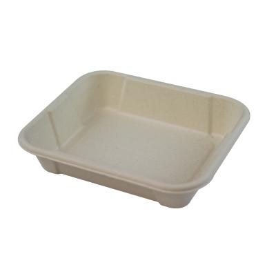 China Disposable Food Containers Bagasse Dishes Dishes Bagasse Disposable Packaging Biodegradables Sushi Tray for sale