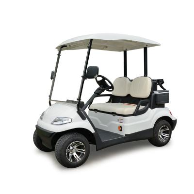 China LT Electric 2 Seater Golf Cart With Curtis 1266A DC System L2380*W1200*H1800mm for sale