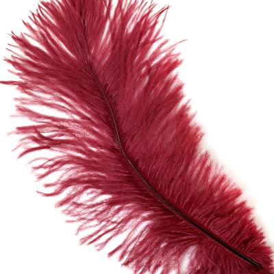 China Drabs 13-16 Burgundy Ostrich Classic Feather for sale