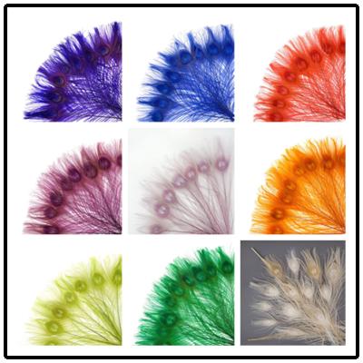 China China peacock feather eyes bleached and dyed for sale