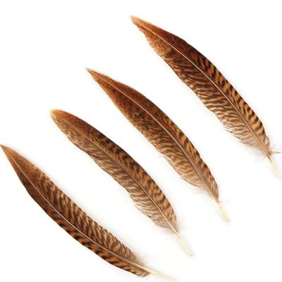 China Festival/Carnival Golden Pheasant Tails Natural Pheasant Feather Tails for sale