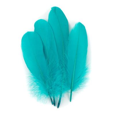 China Classic Bulk Goose Paddle Feathers 6-8 Inch for sale