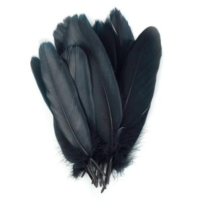 China Classic Black Goose Nagoire Feathers Loose For Sale Buy Goose Feathers for sale