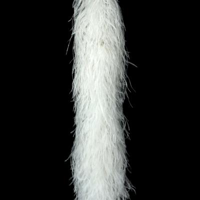 China Band dyed ostrich feather low price ostrich feather ostrich feather fluffy softFeather ostrich decorative for sale