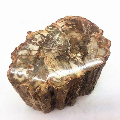 China China wholesale natural reiki crystal rough stone gemstone crystal crafts polished petrified wood fossil stone for healing for sale