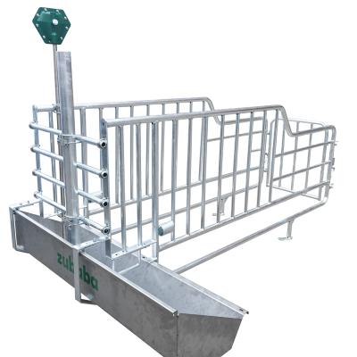 China Farms Professional Manufacture Factory Hog Cage Hot Galvanized Pig Gestation Stalls for sale