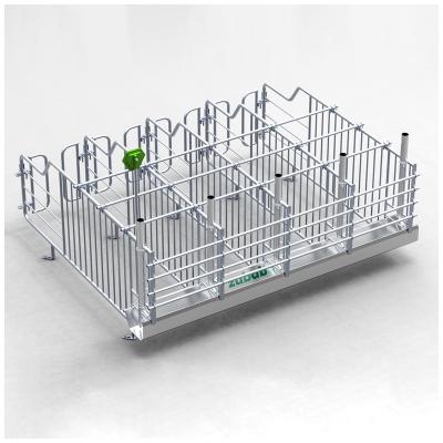 China Superior Quality Farms Gestation Setting Column Stalls Sow Farm Equipment For Pig Sows for sale