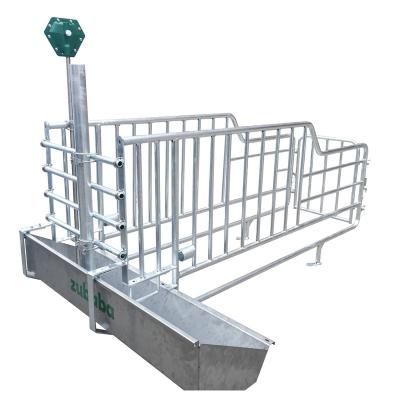 China Economical Farms Custom Design Gestation Crate Hog Equipment Hot Galvanized Sow Stall for sale