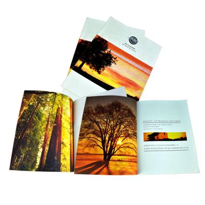 China Uprint Brochure Catalogue Printing , Leaflet Pamphlet Printing Services for sale