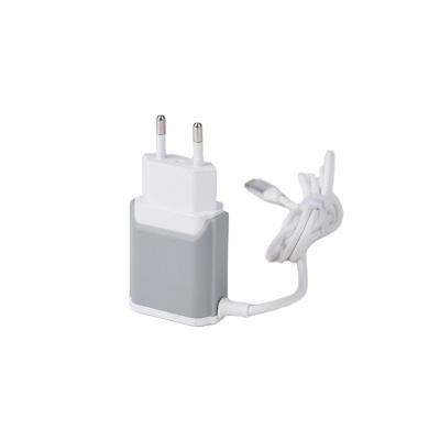 China Mobile Cell Phone Accessories Phone 5V 2A Mini Dual Usb Wall Charger Micro Home Manufacturers Wholesales for sale