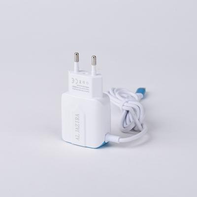 China Cheap price portable usb 2A travel wall dual port mobile phone charger with cable for mobile phone for sale