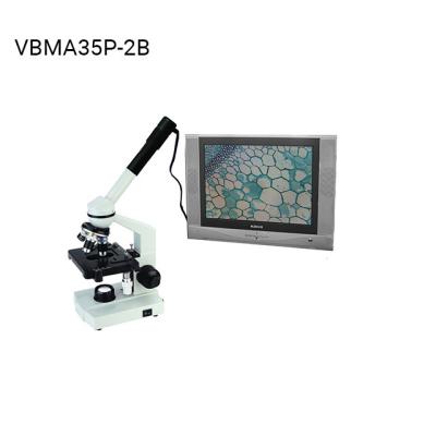 China Compact and Easy Operation VBMA35P-2B 0.35MP Video Biological Microscope for Education Use VBMA35P-2B for sale