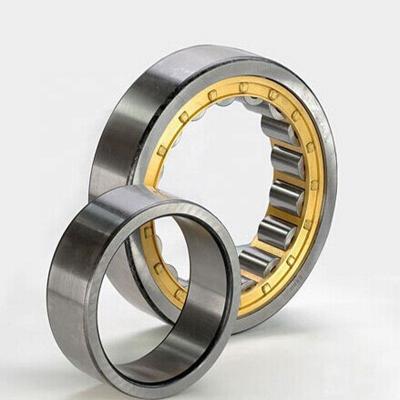 China High Quality Cylindrical Roller Bearing Shandong RN206 RN206 Porcelain OTE for sale