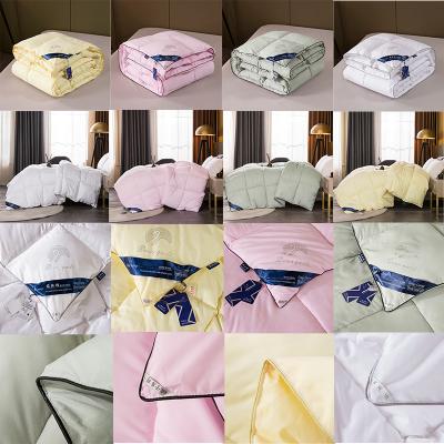 China High Quality Unique Design Easy Care Comforters Ultra Soft Lightweight Comforter Nondisposable for sale