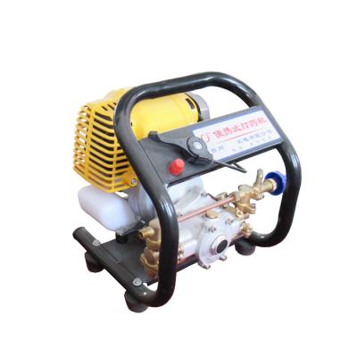 China Agriculture DL Factory Direct Small Portable Gasoline Powered Agricultural Spray Pump for sale