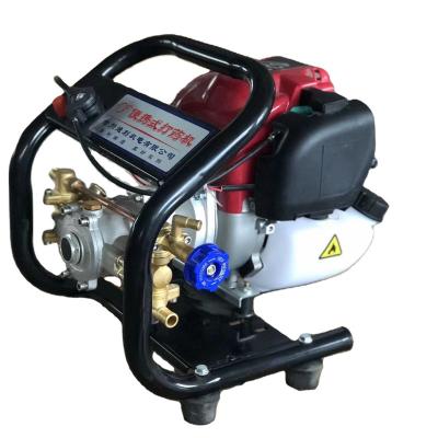 China High Power Agriculture DL Gasoline Efficient Portable Spray Pump Agricultural Sprayer for sale