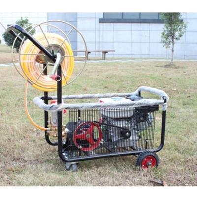 China Agriculture Stretcher Gas Power Agricultural Sprayer for sale