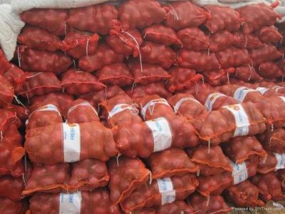 China 4 - 6cm 20k Seasonable Small Fresh Onion No Budding , Whole Year Storage for sale