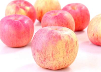 Cina Piccolo Fuji fresco 95% decorativo Apple rosso, 9 chilogrammi - 28, 32, 36, 40 pezzi in vendita