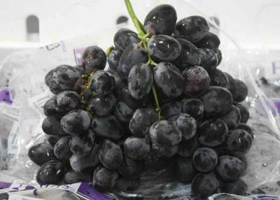 China Dulce sin semillas fresco de las uvas rojas de la alta pasa alimenticia de 25m m en venta