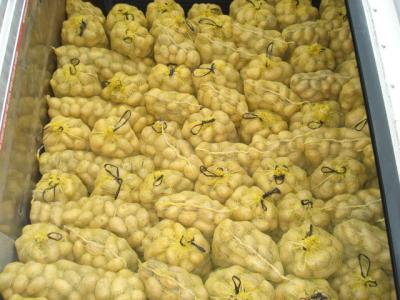 China Amarillo liso fresco 100% de la patata de Holanda de la madurez dentro del cartón de 20 kilogramos en venta