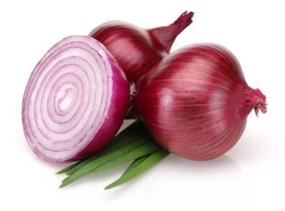 China Healthy Natural Fresh Onion Green Products , No Irregular Shape for sale