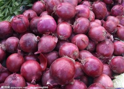 China 40mm Natural Fresh Onion 15kg / Mesh Bag , Wonderful Flavors For Cooking for sale