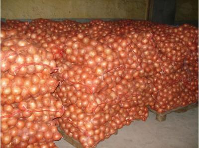 China Unspoiled New Crop Natural Fresh Onion Yellow 10kg / Mesh Bag for sale