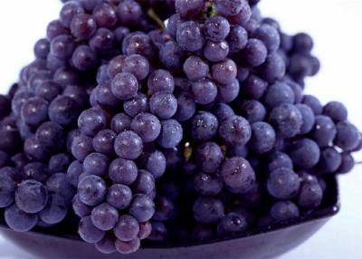 Cina Uva porpora fresca del ribes di salute 23mm con Haccp, Gap globale in vendita