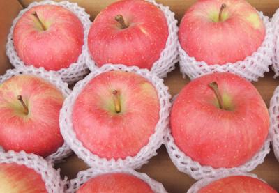 China 60mm - 65mm Fresh Fruit Fuji Red Apple , Health No Pesticide Residue for sale