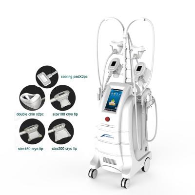 China Pretty RF Professional Cavitation Weight Loss Multifunctional Cryo Machine For Weight Loss for sale