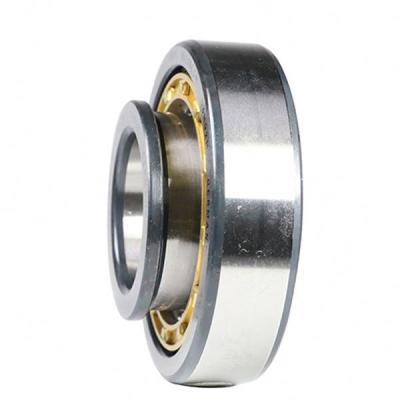 China High Density Hotels Cylindrical Roller Bearings NU1016 80*125*22mm for sale