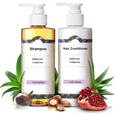 China Color-Protecting OEM Private Label Sulfate Free Amino Acid Natural Shampoo and Hair Conditioner Hair Care Set for sale